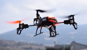 Műholdakkal, drónokkal védik a Róma környéki ezer hektáros erdőt