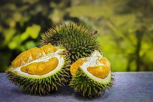 Német tudósok megfejtették, hogy miért olyan büdös a durián